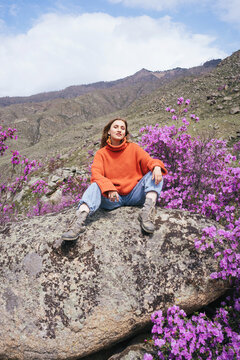 Woman travelling in Altai mountains sitting on stone among beautiful pink Rhododendron flowers