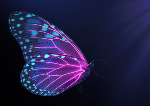 Fototapeta 3D Render of Magical glowing neon and fluorescent inspirational butterfly