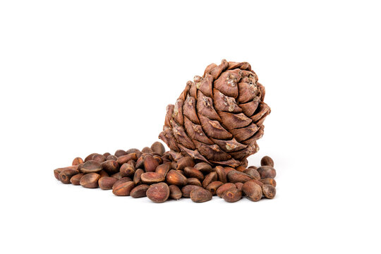 Pine nuts and ripe pine cones on a white background