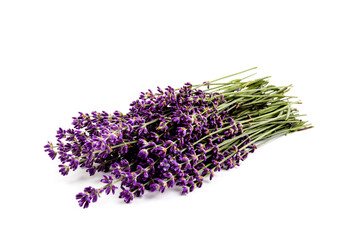 Lavender flowers isolated on white background. Close up. Space for text
