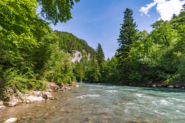 The turquoise blue mountain river Bregenzer Ach in Austria
