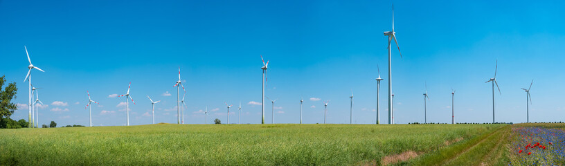 Panoramic view over beautiful farm landscape with wheat field, poppies and chamomile flowers, wind turbines to produce green energy in Germany, Summer, at sunny day and blue sky.