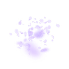 Violet flower petals falling down. Superb romantic