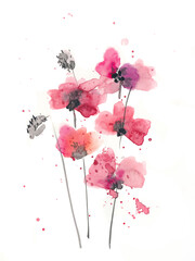 Hand drawn ink and watercolor illustration: red poppies flowers and buds on white background
