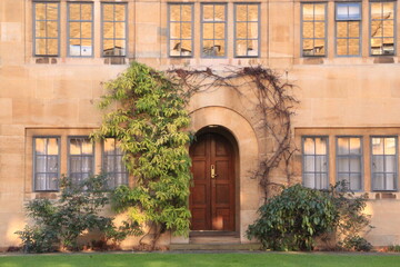 Fototapeta na wymiar Ivy covering the old building facade in Oxford