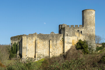 Fototapeta na wymiar Château médiéval de Rauzan