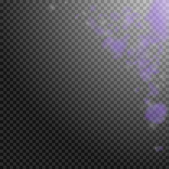 Violet flower petals falling down. Wondrous romant