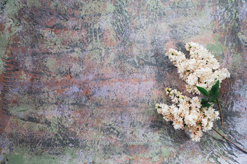 Texture background with bright flowers of lilac for the cover of the notebook diary or congratulations on the woman's holiday