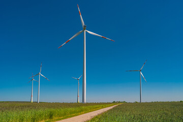 Fototapeta premium View over beautiful farm landscape with wheat field, countryside road and wind turbines to produce green energy in Germany, at deep blue sky and sunny summer day