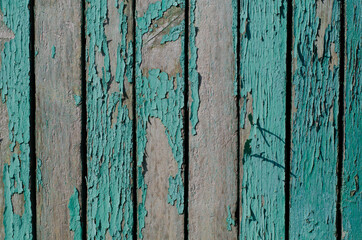 Old wood surface. Peeling paint. Wooden boards. A fence made of boards. Tree structure.