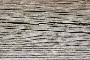 old wood texture
