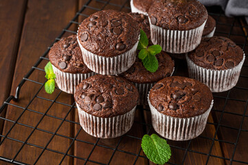 Chocolate muffins or cupcakes with chocolate drops on a dark wooden background with fresh berries and mint. Copy space.