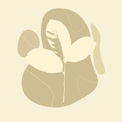 Abstract shape and line art plant, Boho style botanical design for cover, print, poster, wall decoration. Vector floral design. Modern art posters collection with tropical leaves.