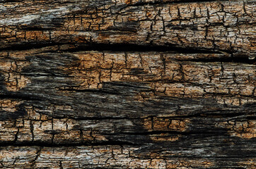 Background of the rustic wood