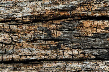 Background of the rustic wood
