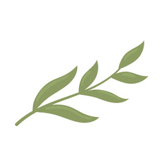 Obraz premium branch foliage botanical