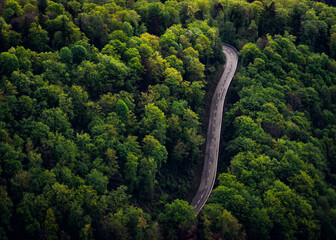 Road through a lush green fores from above