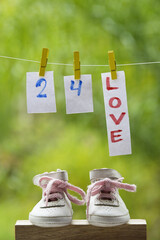 family concepts, words hanging with pins in nature with little shoes