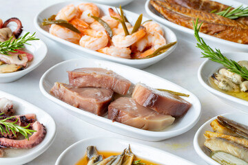 Set of Seafood Dishes. Seafood on a plate. On a white wooden background. Selective Focus Lakerda. Marinated Mussels, Octopus Salad, Shrimp, Fish Salad