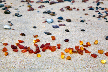 Amber in the sand. Amber on the seashore