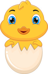  Cartoon baby duck hatching from egg