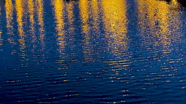 Beautiful glare from the lanterns on the lake in the park close-up. Video of iridescent highlights on the water for a 4K background.