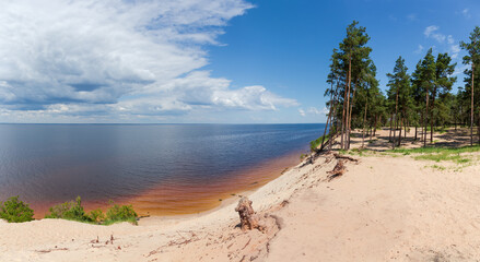 Steep sandy reservoir shore with pine forest against sky