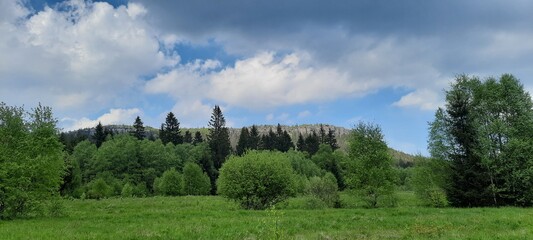 Fototapeta na wymiar landscape with trees and sky. mountains.gory