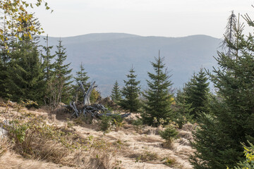 Hiking in the bavarian Mountains