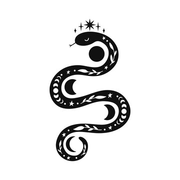 Mystical snake with moon phases and floral elements.