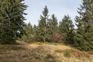 Obraz premium Hiking in the bavarian Mountains