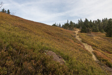 Fototapeta premium Hiking in the bavarian Mountains