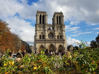 notre dame cathedral