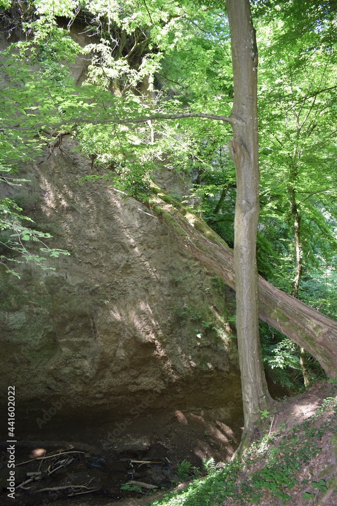 Sticker wolfsschlucht in der eifel