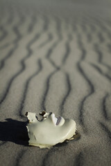 Abstrakcja - maska jak ludzka twarz lerzaca na piasku