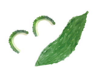 ゴーヤとカットしたゴーヤ