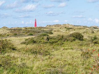 Fototapeta na wymiar North tower lighthouse in Westerduinen dunes of Schiermonnikoog, Netherlands