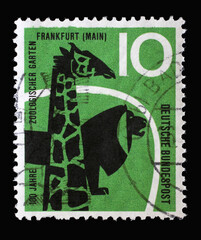 Stamp printed in Germany shows shows Giraffe and Lion, Zoo at Frankfurt on the Main, circa 1958