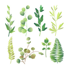 Green leaves set isolated on white background. Vector illustration