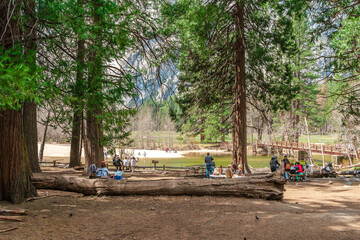 People tourists relax having a picnic in Yosemite National Park. California, USA - 16 Apr 2021