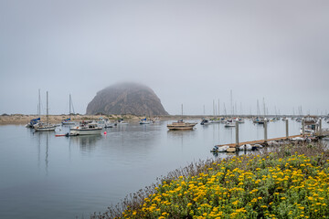 Morro Bay, California