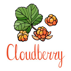 Cloudberry and lettering