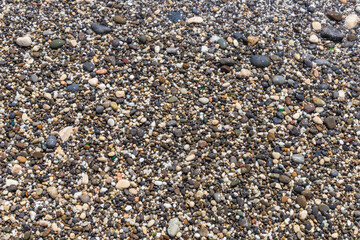 Wet coastal diverse sea pebbles with a sunny sheen, background