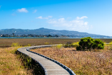 Morro Bay, California