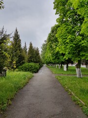 path in the park