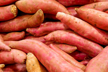 Fresh sweet potato piled on the market. Food background. Harvest