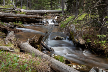 stream in the forest with fallen trees