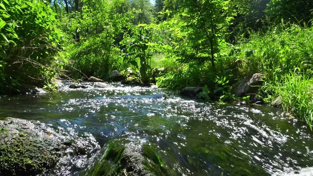 Kleiner Flu&szlig; im Sommer - Bachlauf mit Steine und klarem Wasser