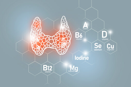 Essential nutrients for Thyroid Gland health including Iodine, Selenuim, Vitamin B6, Cuprum.Design set of main human organs with molecular grid, micronutrients and vitamins on light gray background.