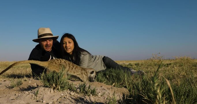 Funny cute animals. Close-up portrait of a male and female tourist watching a meerkat digging 